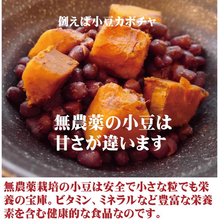 61%以上節約 小豆 北海道 200g 平譯 さんの 送料無料 ひらわけ えりも小豆 61%以上節約 小豆 北海道 200g 平譯 さんの 送料無料 ひらわけ えりも小豆