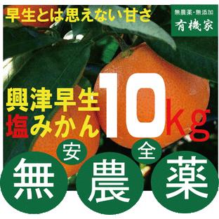 無農薬栽培塩みかん 興津早生 10ｋｇ Www Technoabout Com