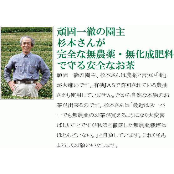 完全無農薬 杉本園 ほうじ茶ティーバッグ（ 5g×10個）×２個( コンパクト便) 　自然栽培日本茶｜yuukiya0097｜02