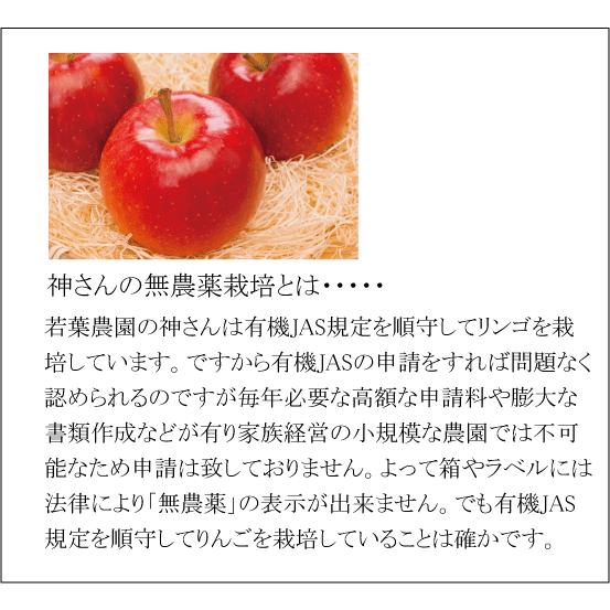 無農薬りんご さんさ 5ｋｇ 小玉りんご 親子２代無農薬栽培 青森県 若葉農園 9月上旬発送予定 約16 25個前後 Wa B 26 1 有機家 通販 Yahoo ショッピング