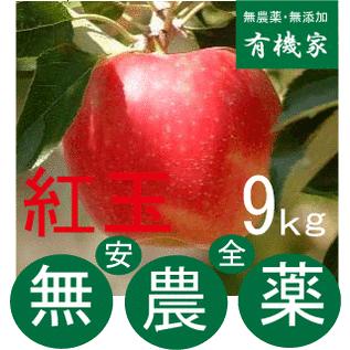無農薬りんご「紅玉」9Kg〜10kg 約36〜50個前後 親子2代無農薬栽培