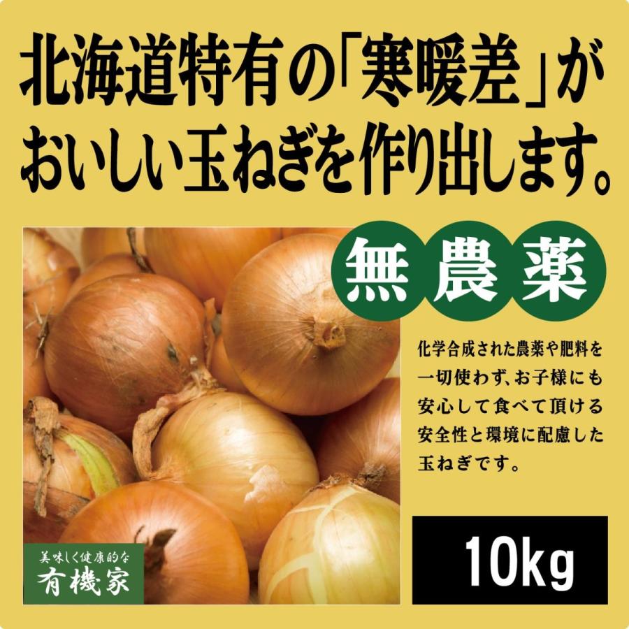 50 Off 北海道産有機玉ねぎ 10ｋｇ 有機jas 無農薬 無添加 新品即決 Kwsrbd Com