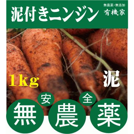 無農薬人参 ニンジン 泥つき 1kg 国産人参 Yy A b 1 有機家ヤフー店 通販 Yahoo ショッピング