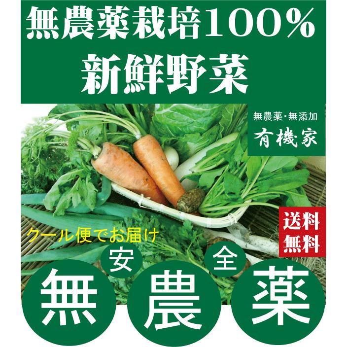 無農薬100％・旬の新鮮野菜セット「約７品目」「 月、水、金曜日発送」　有機家の長年の人気野菜セット　クール冷蔵便配送 | 