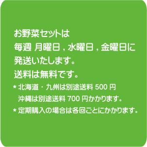 無農薬100％・旬の新鮮野菜セット「約７品目」「 月、水、金曜日発送」　有機家の長年の人気野菜セット　クール冷蔵便配送 |  | 05