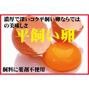 旬の無農薬100%野菜セットと平飼い卵10個セット「 月、水 旬の無農薬100%野菜セットと平飼い卵10個セット「 月、水