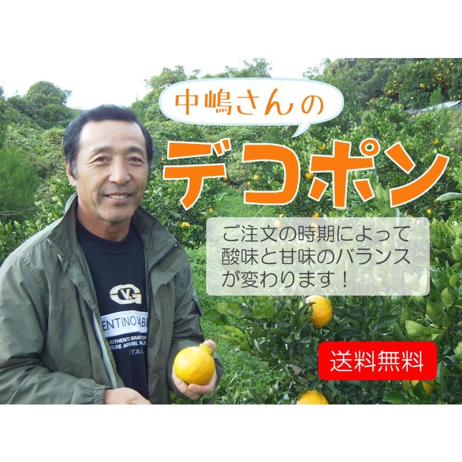 熊本産 中嶋さんの不知火(デコポンと同種) 5kg箱(家庭用)「2 熊本産 中嶋さんの不知火(デコポンと同種) 5kg箱(家庭用)「2