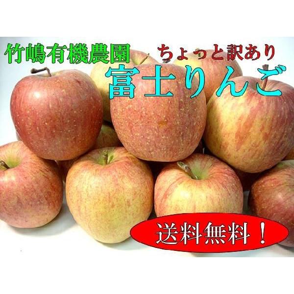 竹嶋有機農園のふじりんご 中玉 約5kg 化学農薬不使用 訳あり 【超特価sale開催!】 竹嶋有機農園のふじりんご 中玉 約5kg 化学農薬不使用 訳あり 【超特価sale開催!】