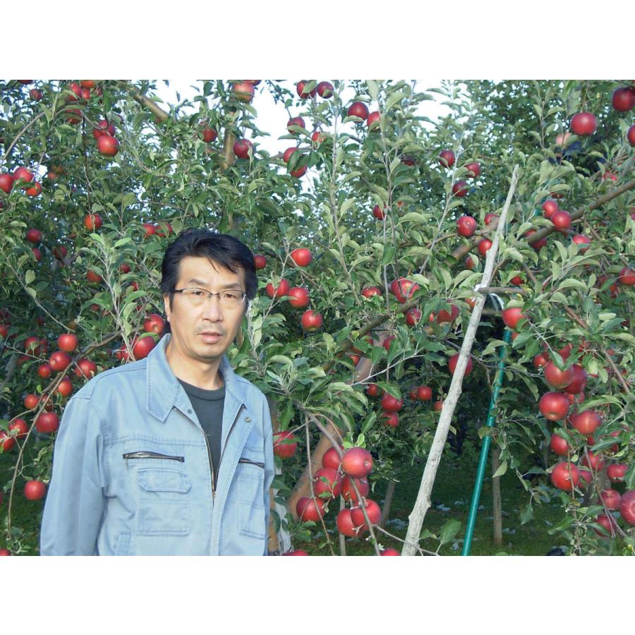 オーガニック 竹嶋有機農園の紅玉りんご10kg箱満杯詰(約9kg）わけ