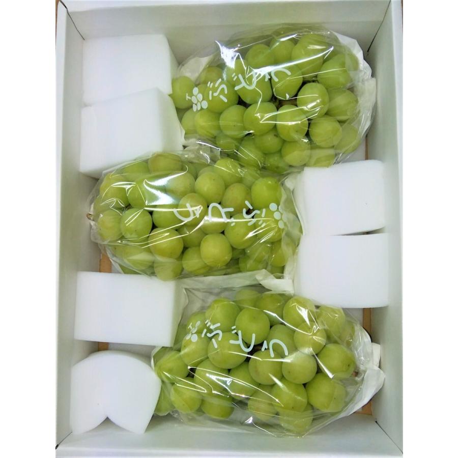 シャインマスカット2kgギフト箱（3-5房）山梨 山の果樹園 9月中旬から