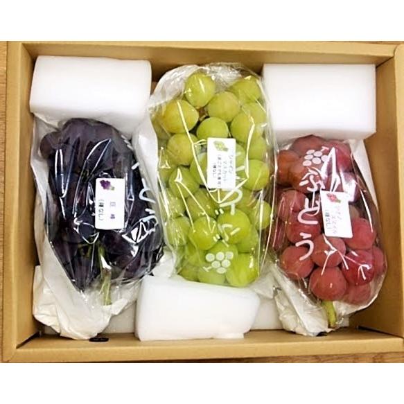 山梨 種無しぶどう詰合わせ（シャインマスカット＋2種）1.5kgギフト箱（3房前後）　9月中旬から9月末頃