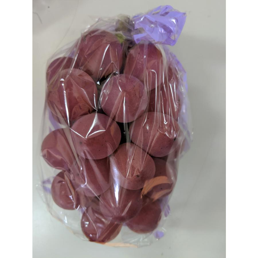 山梨県産ぶどう ゴルビー 悟紅玉 8房入り箱込み約6.3kg