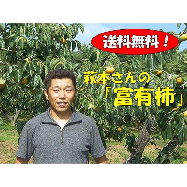94％以上節約 萩本さんの富有柿 3kg箱 ギフト仕様 お1人様1点限り 11月中旬から12月中旬ころ