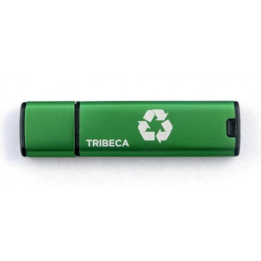 全国送料無料 パソコン ストレージ トライベッカ FV01396 2 GB Greendrive