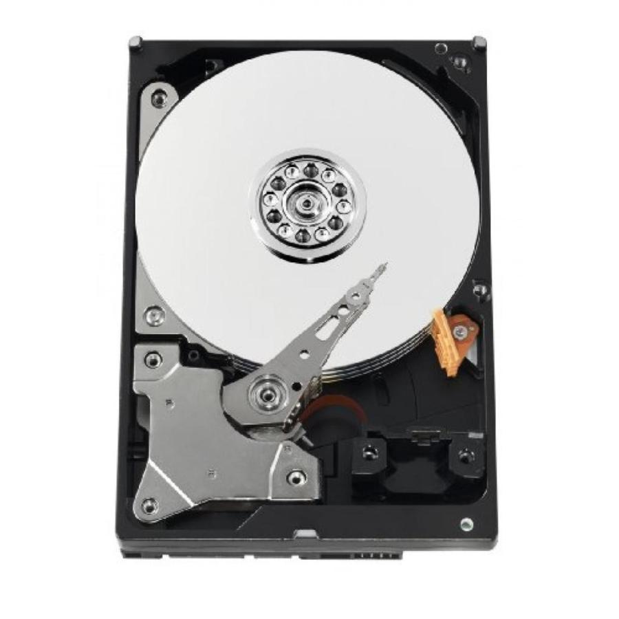 全国送料無料 パソコン ストレージ 西デジタル 1 TB AV GP SATA Intellipower 8 MB キャッシュ バルク/OEM AV ハード ドライブ WD10EVVS