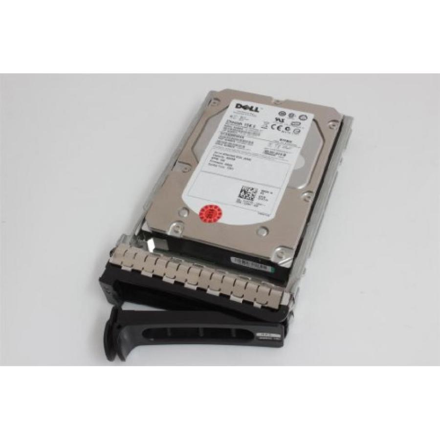 全国送料無料 パソコン ストレージ DELL のハード ディスク 300 GB 15 K SAS ホット スワップ 3.5 '