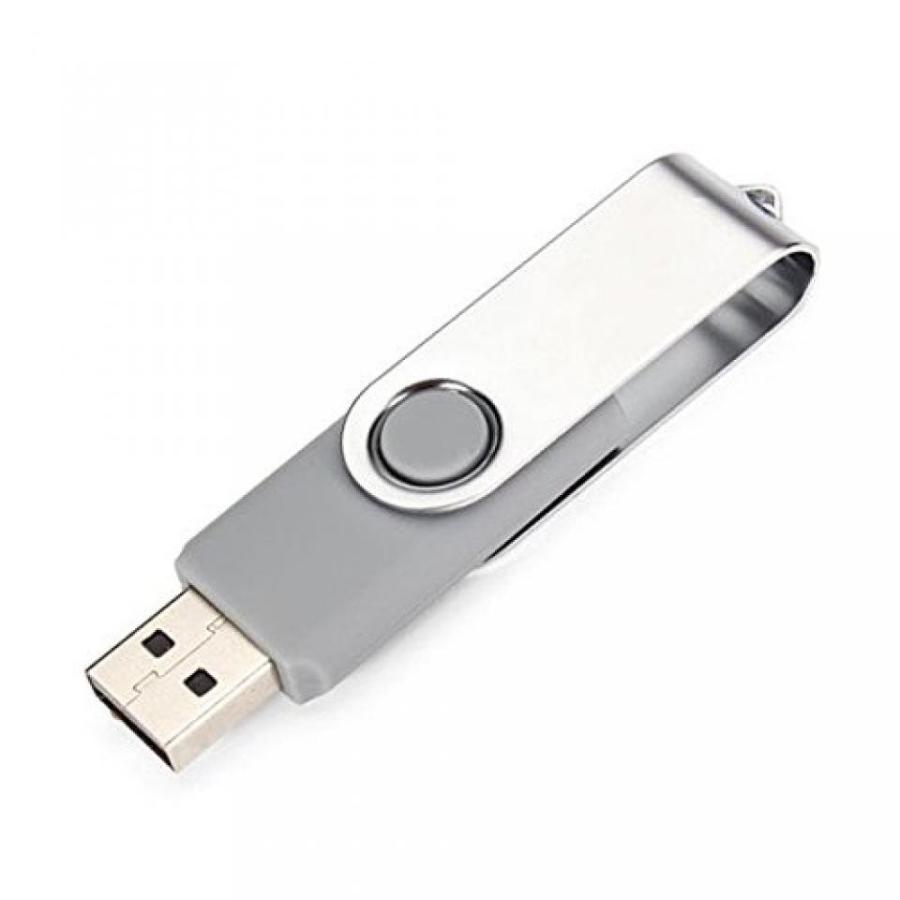 全国送料無料 パソコン ストレージ ピンクのトカゲ 5 x 1 GB ミニ USB 2.0 フラッシュ メモリ灰色の折り畳み式 U ディスク