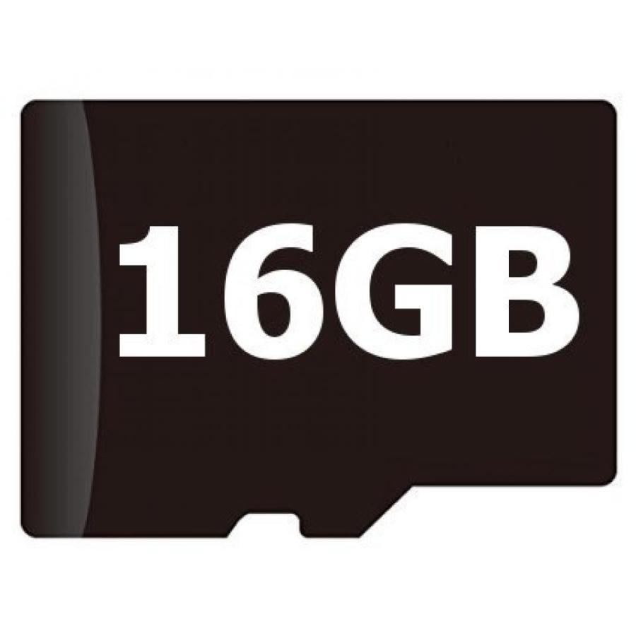 全国送料無料 パソコン ストレージ 不可欠なウルトラ 16 GB ブルー ダッシュ M2 スマート フォン MicroSDHC カード カスタム書式の高速可逆ため認定記録SD_2