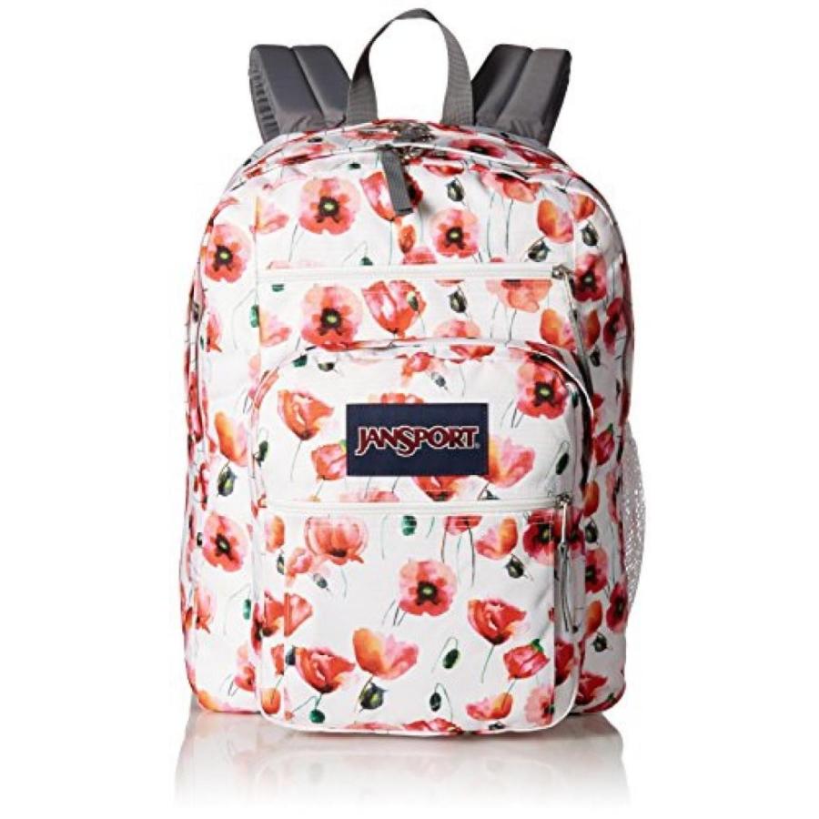 全国送料無料 パソコン ストレージ ジャン スポーツ ビッグ ステューデント バックパック