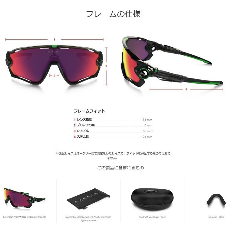 USAモデル オークリー （OAKLEY） サングラス ジョウブレイカー JAWBREAKER OO9270-07 【プリズム】【アジアンフィット】｜yuuyuusports｜04