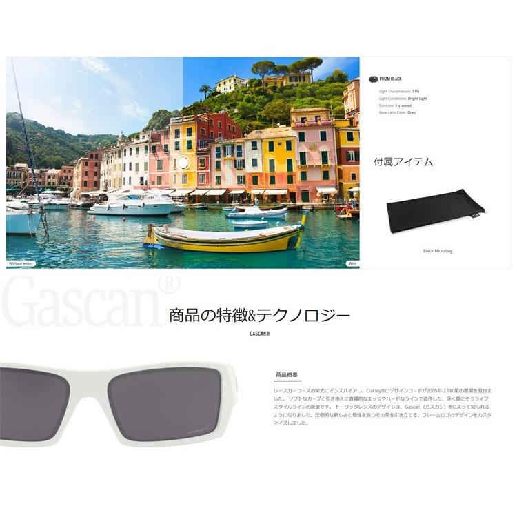 OAKLEY（オークリー） 日本正規品 サングラス GASCAN ガスカン OO9014
