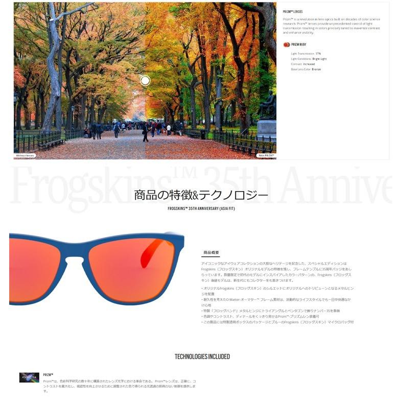 OAKLEY（オークリー） 日本正規品 サングラス フロッグスキン
