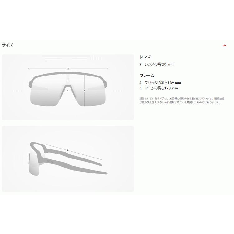 日本正規品 オークリー（OAKLEY）エンコーダー Encoder（Low Bridge