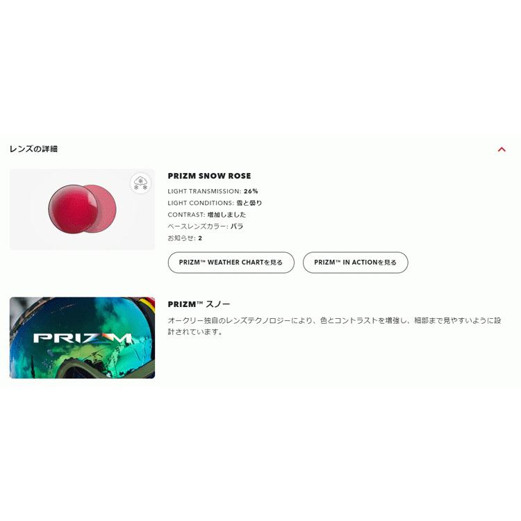 OAKLEY（オークリー） 日本正規品 スノー ゴーグル Line Miner L Snow