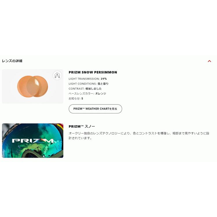 OAKLEY（オークリー） 日本正規品 スノー ゴーグル Line Miner L Snow
