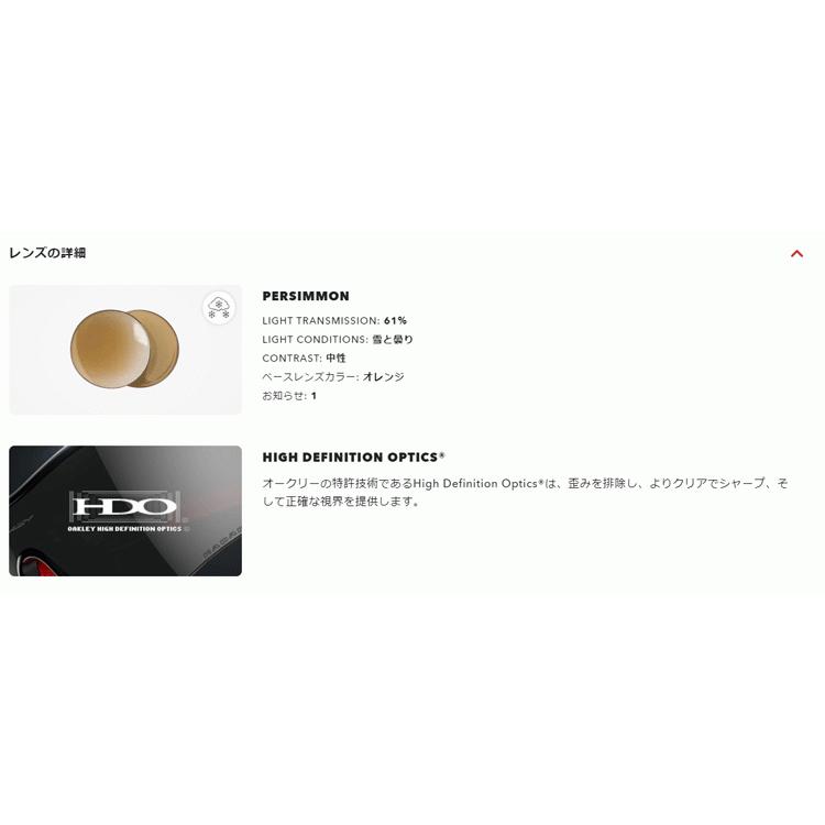 【N】ページ　　リクエスト商品のため OAKLEY 日本正規品 オークリー スノー ゴーグル Target Line L Snow