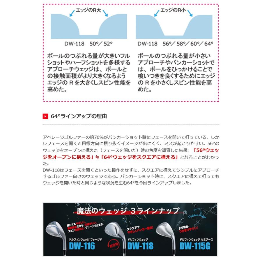 kasco（キャスコ） 日本正規品 ドルフィン ウエッジ DW-118 N.S.PRO