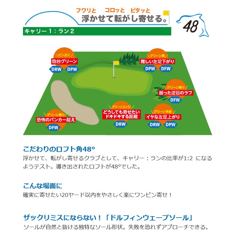 Dolphin Wedge キャスコ ドルフィン ピッチ ＆ ラン ウエッジ DPW-119