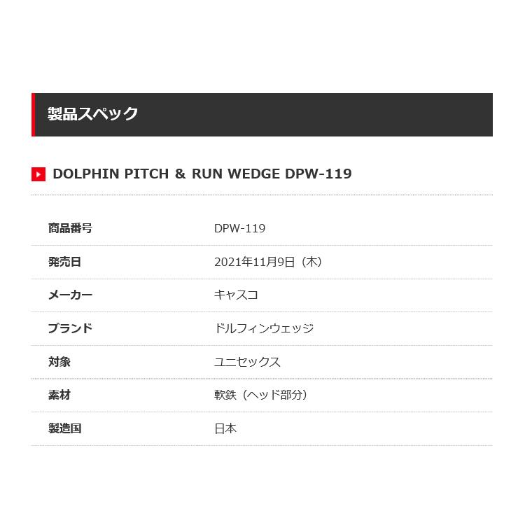 Dolphin Wedge キャスコ ドルフィン ピッチ ＆ ラン ウエッジ DPW-119