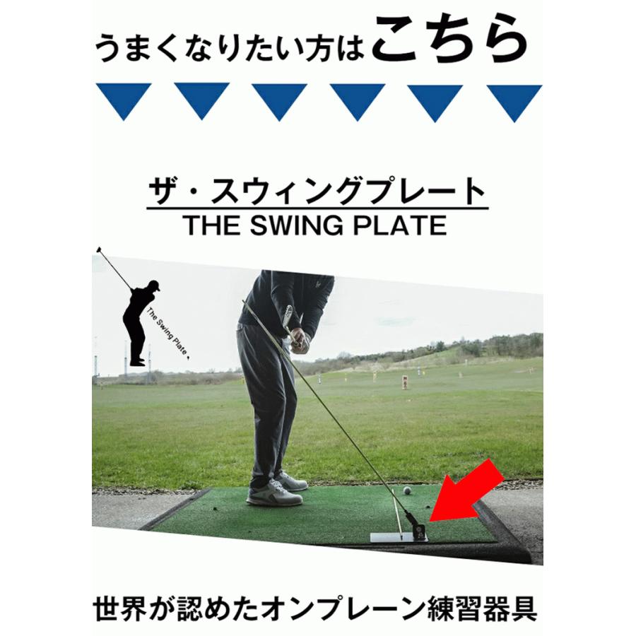 スウィングプレート THE SWING PLATE ゴルフ 練習器 (本体+テレ