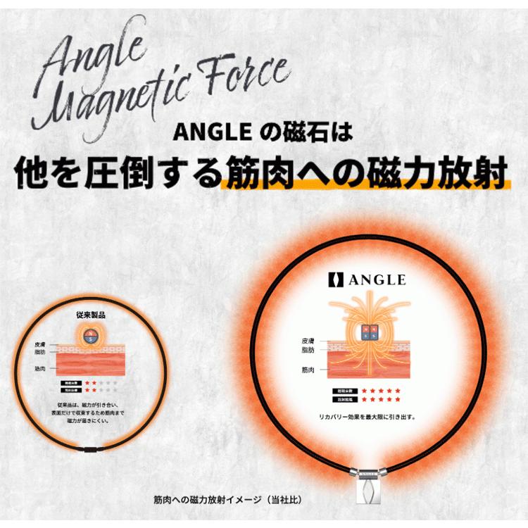 ANGLE アングル e.MODEL 01 NECKLACE eモデル ネックレス【医療