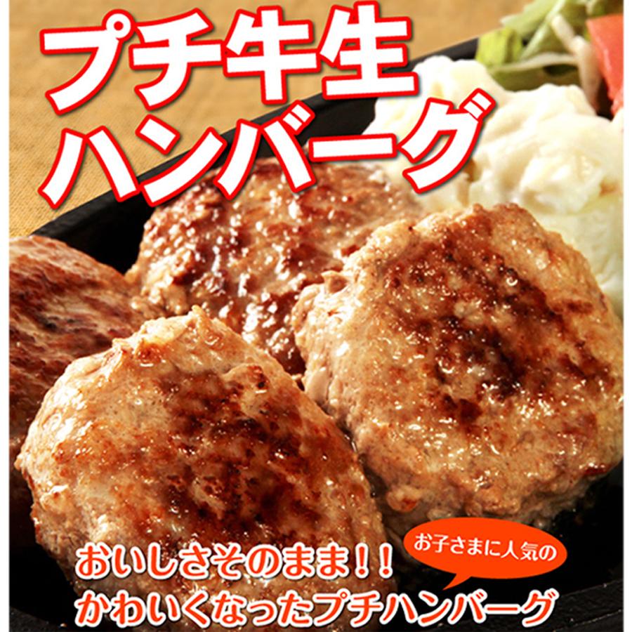 牛肉 無添加 プチ牛生 ハンバーグ 40g×8個入｜yuuzen-hb｜02