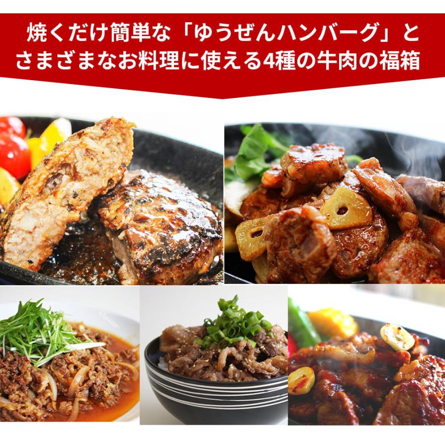 肉の日 福袋 ハンバーグ 食品 牛肉 肉惣菜 牛肉ばっかり福箱 訳あり 牛ヒレ 牛バラ 牛ロース 牛ミンチ 冷凍 セット Meat Happy 大阪の味ゆうぜん Yahoo 店 通販 Yahoo ショッピング