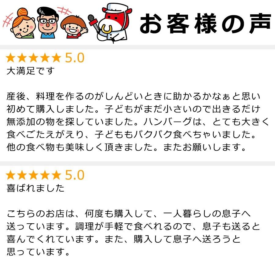 冷凍食品 惣菜 セット 肉 無添加 年間ベストヒットまるごとセット ハンバーグ グルメ お取り寄せ 詰め合わせ お試し｜yuuzen-hb｜09