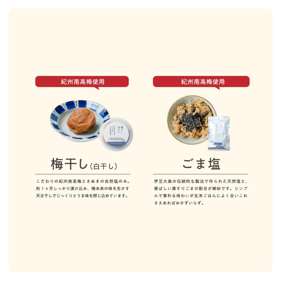おなかを整える3日間 腸活すっきりセット ファスティング 短期集中
