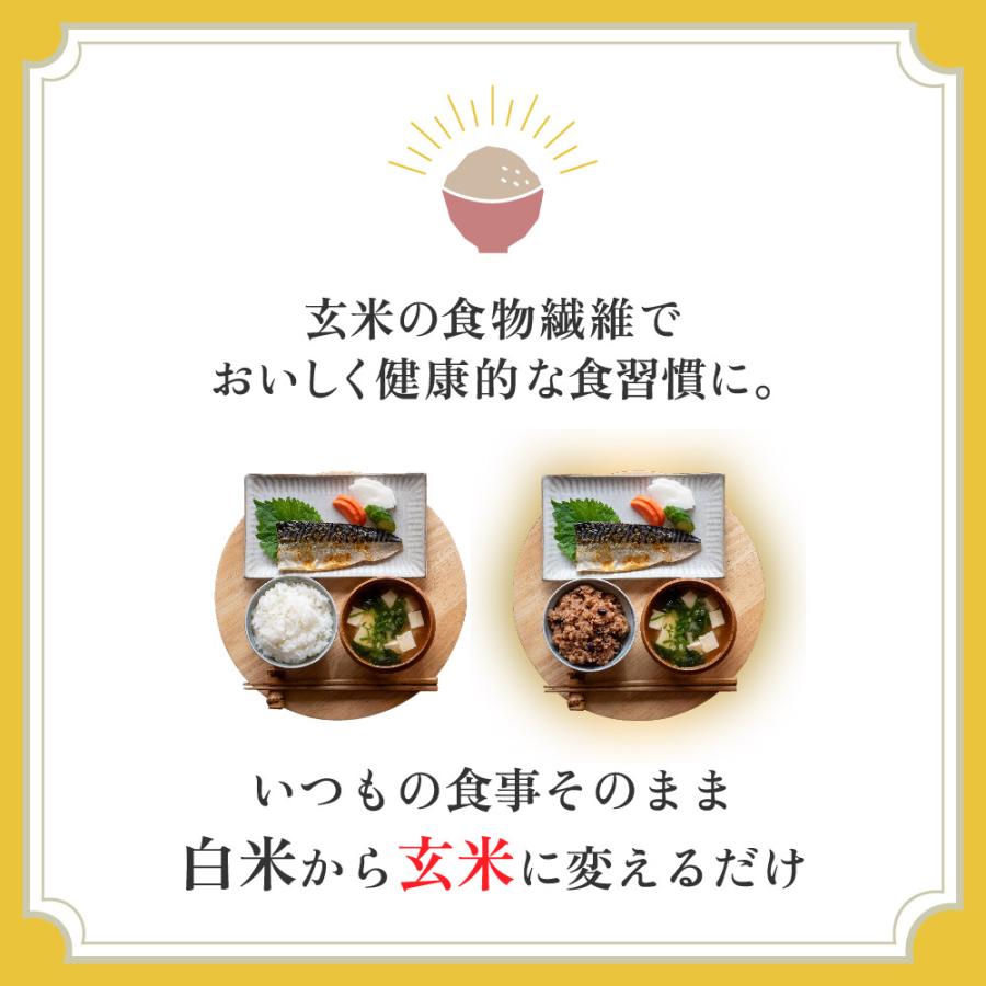 YUWAERU 玄米パック 寝かせ玄米 ご飯パック 4種ミックス 12食 雑穀米