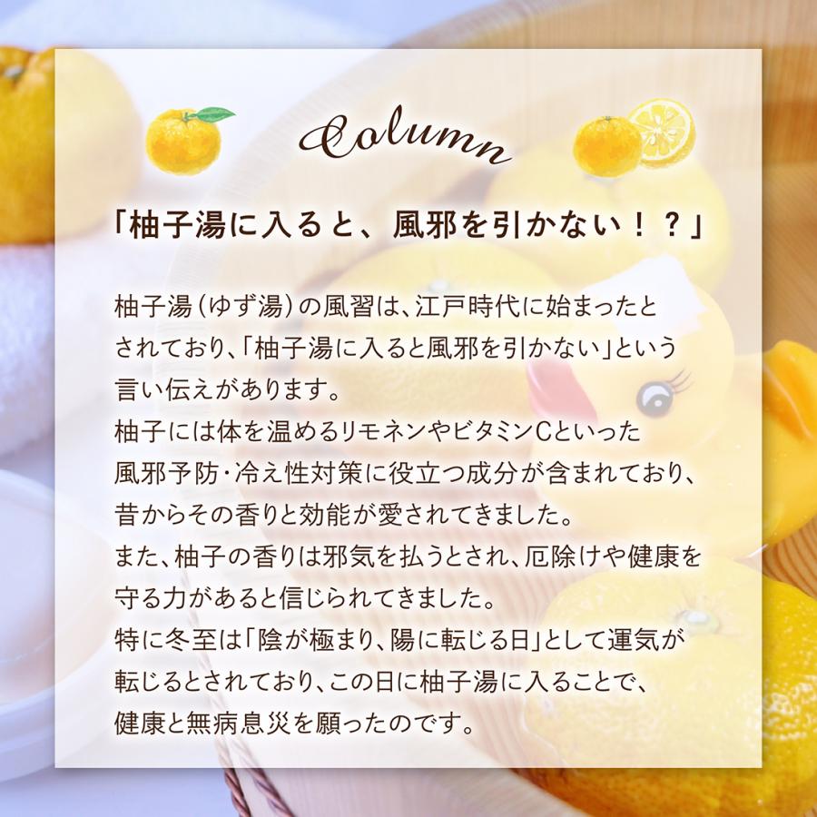 入浴剤 柚子 ゆず ユズ 香り 柚子湯 冬至 個包装 まとめ買い 入浴剤 柚子 ゆず ユズ 香り 柚子湯 冬至 個包装 まとめ買い