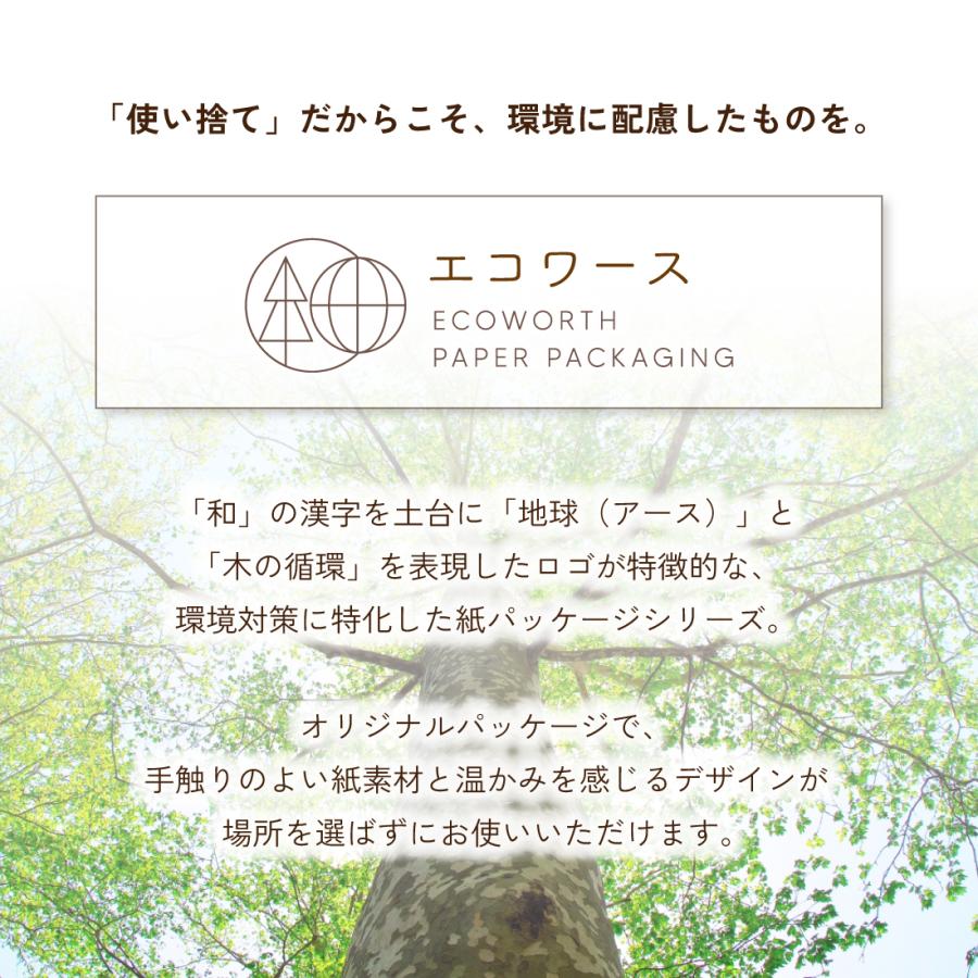 カミソリ2枚刃 「TNC210 エコワース袋 14本 250本 1000本（選べる本数）セット」  環境配慮 エコ 業務用 使い捨て 個包装 アメニティ サスティナブルの画像