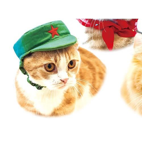 ネコス キュートなねこの世界旅行 2：チャイナ グレイ・パーカー・サービス BOXフィギュア 猫 かぶりもの｜yuyou