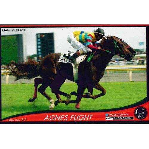 BANDAI（バンダイ） オーナーズホース02 H097:アグネスフライト
