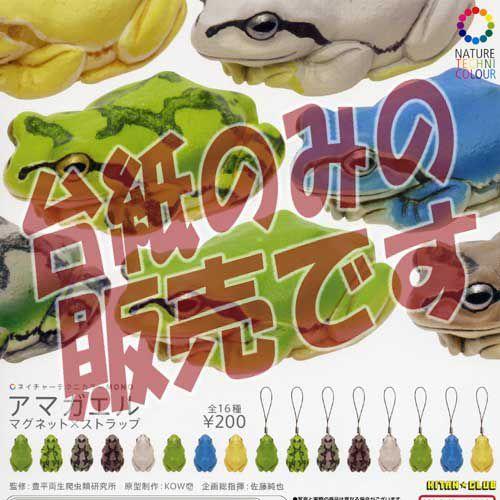 海外最新ネイチャーテクニカラーMONO アマガエル マグネット