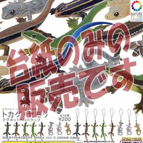 BANDAI（バンダイ） 【非売品ディスプレイ台紙】ネイチャー