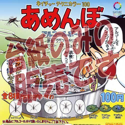 非売品ディスプレイ台紙】ネイチャーテクニカラー100 あめんぼ