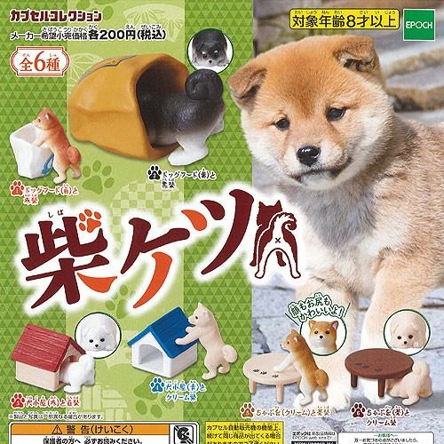 柴ケツ 全6種 ディスプレイ台紙セット エポック社 ガチャポン ガチャガチャ ガシャポン Gcs02t 遊you 通販 Yahoo ショッピング