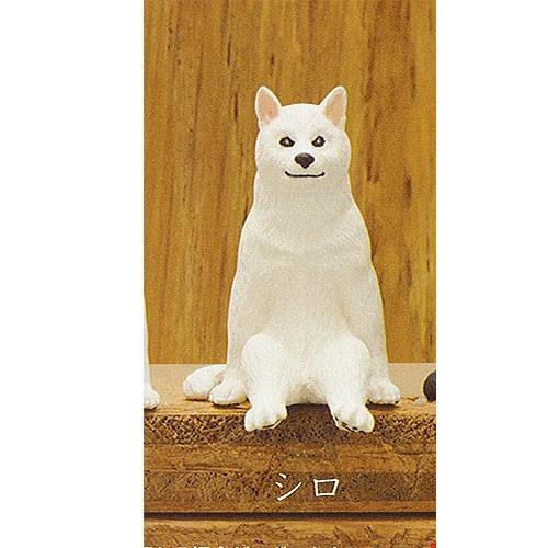 座る犬 5：シロ 奇譚クラブ ガチャポン ガチャガチャ ガシャポン : 遊