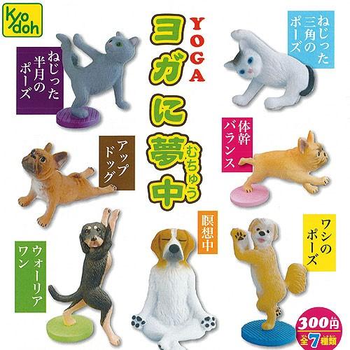 ヨガに 夢中 全7種 ディスプレイ台紙セット 共同 動物 フィギュア ガチャポン ガチャガチャ ガシャポン Gas02 遊you 通販 Yahoo ショッピング